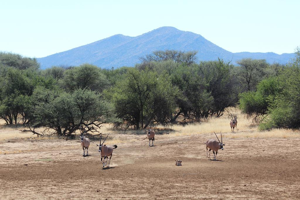 Haasenhof Gastefarm Villa Okahandja Eksteriør bilde